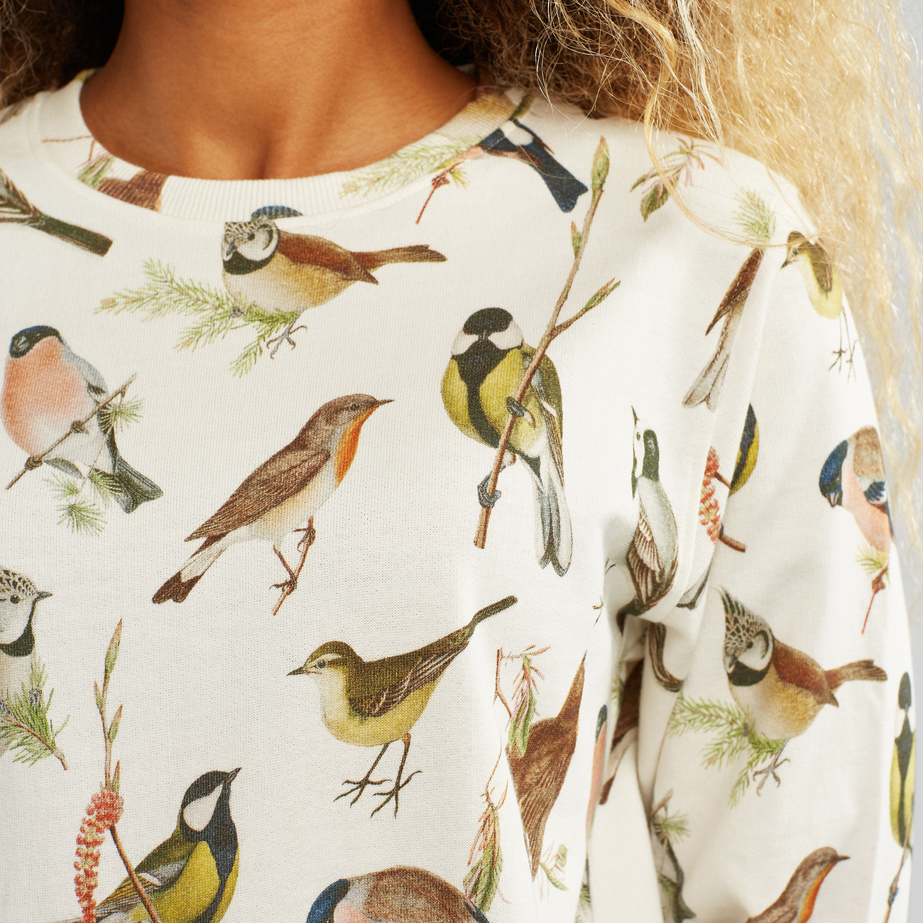 DEDICATED - Sweatshirt Ystad Autumn Birds