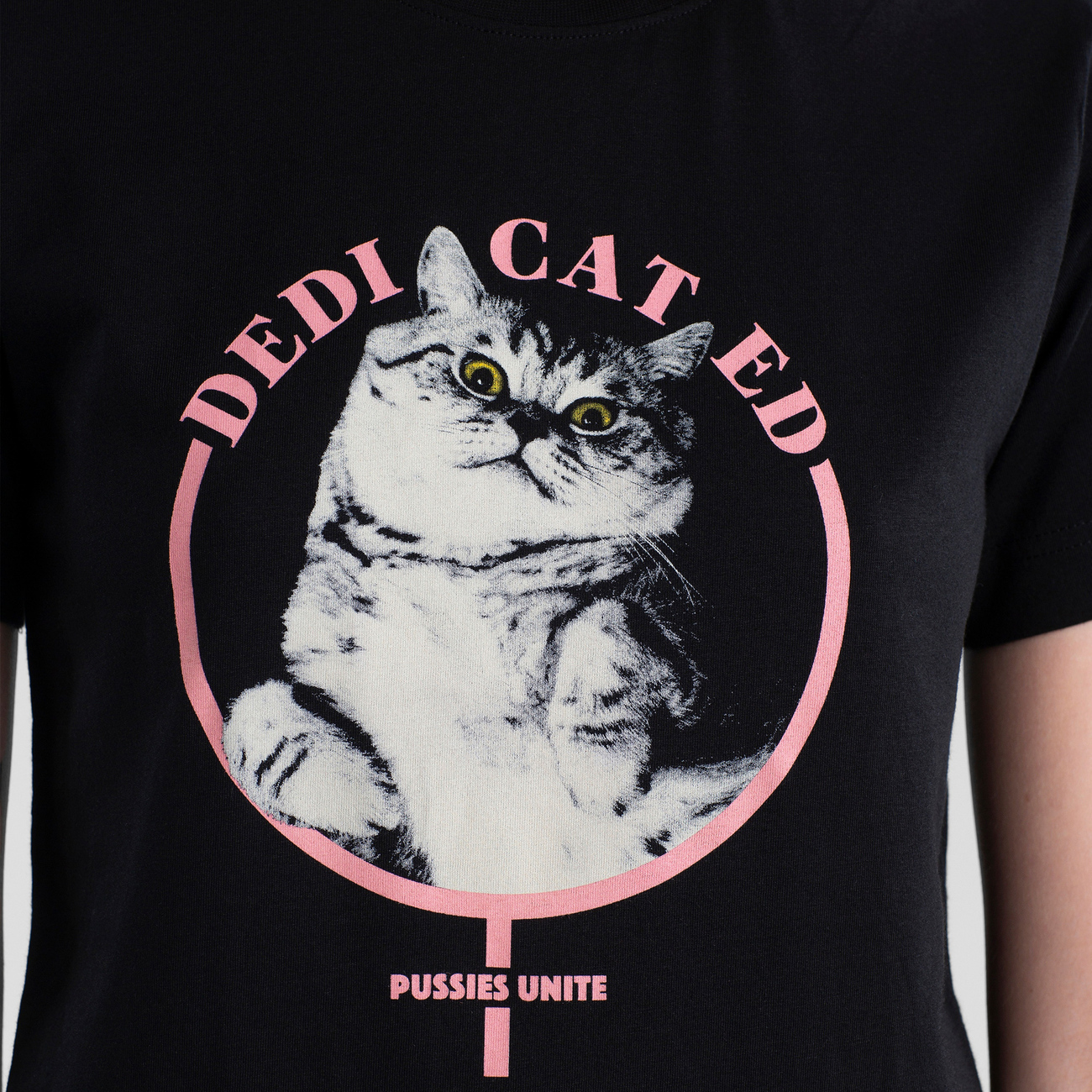 Lyrics to tron cat
